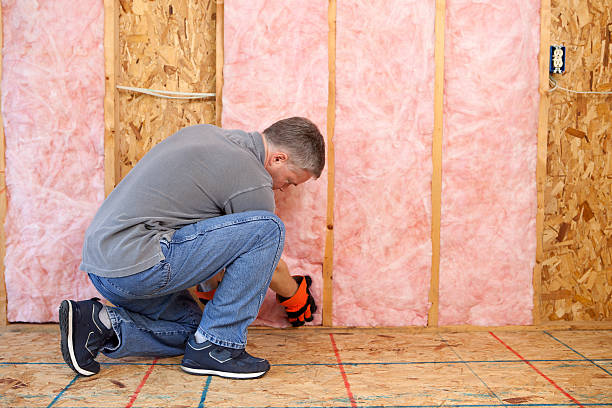 Best Geographic-Specific Insulation Services in Oxford, OH